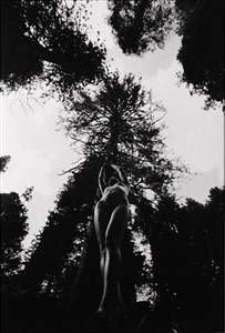 Image description is not available for 2010.011